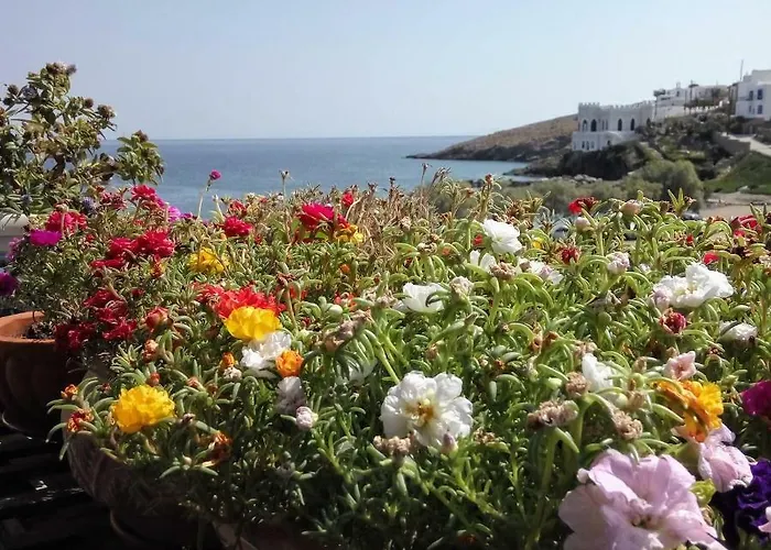 Hotel Xenonas Afroditi